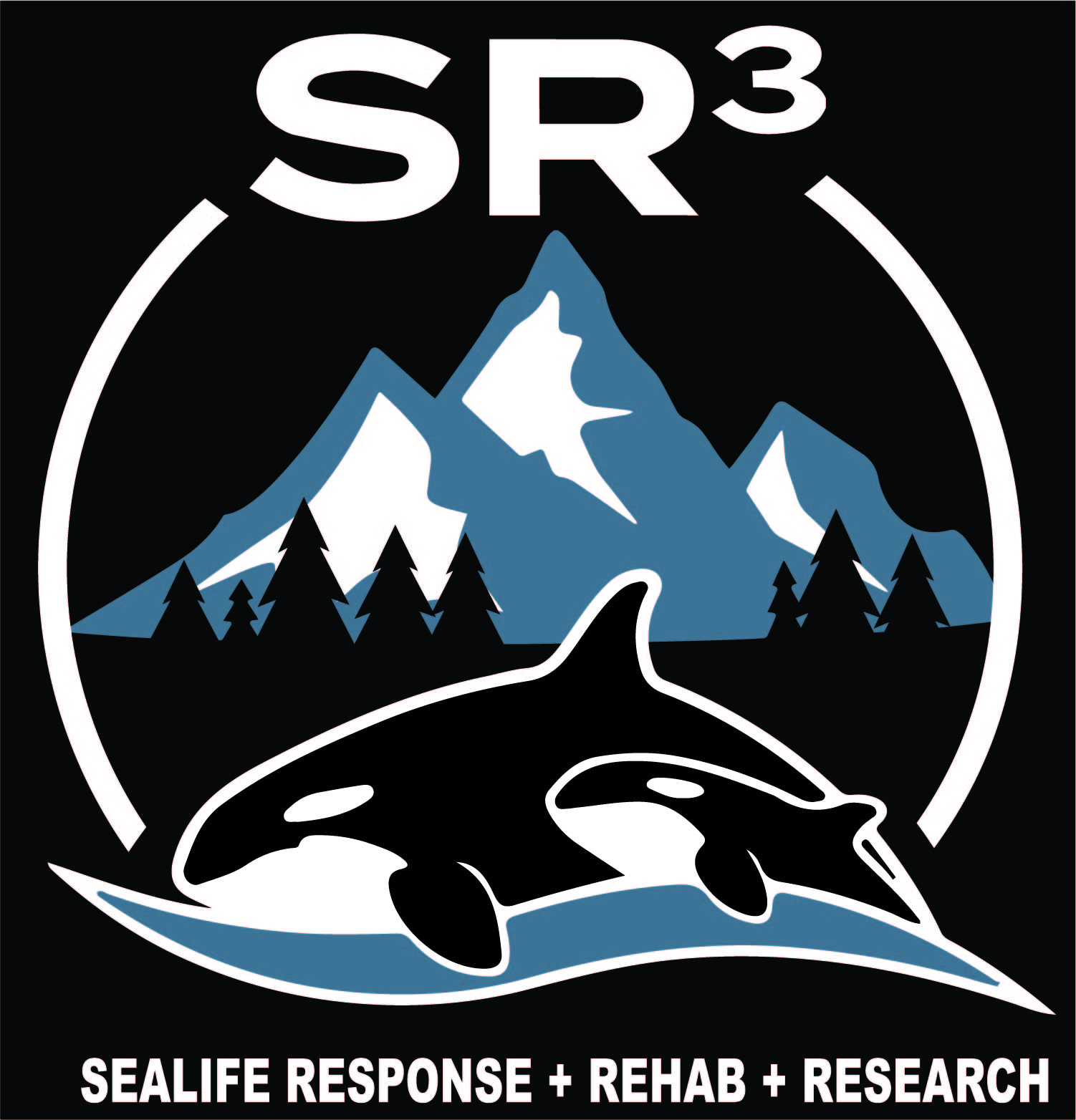 SR3 Logo