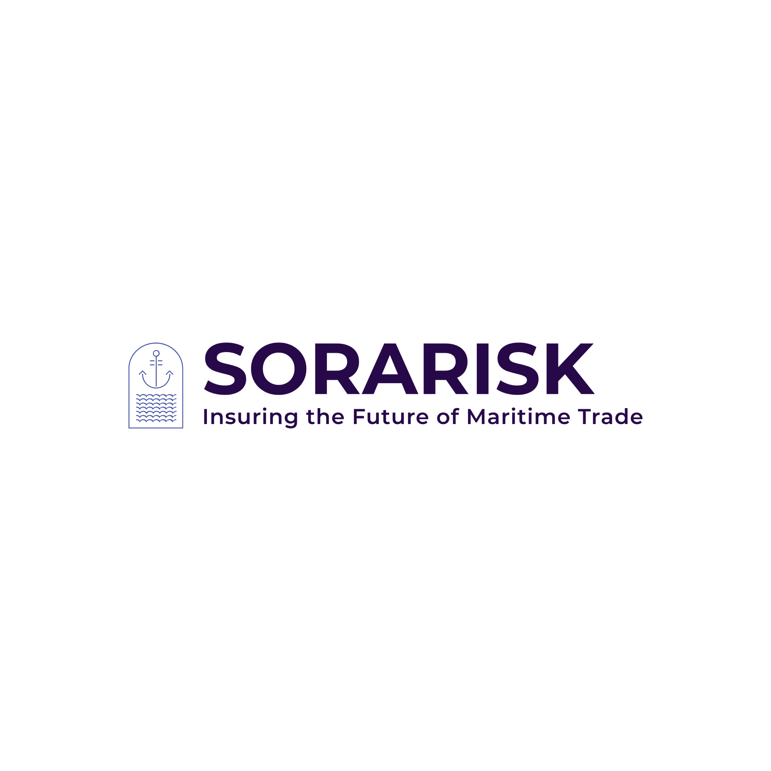 SoraRisk_web_version